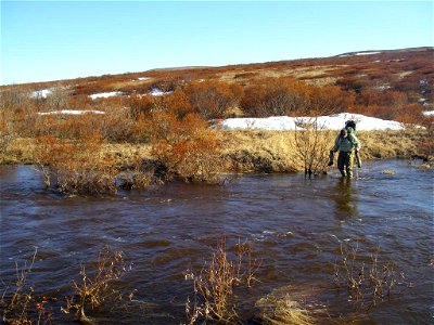 stream crossing in May photo