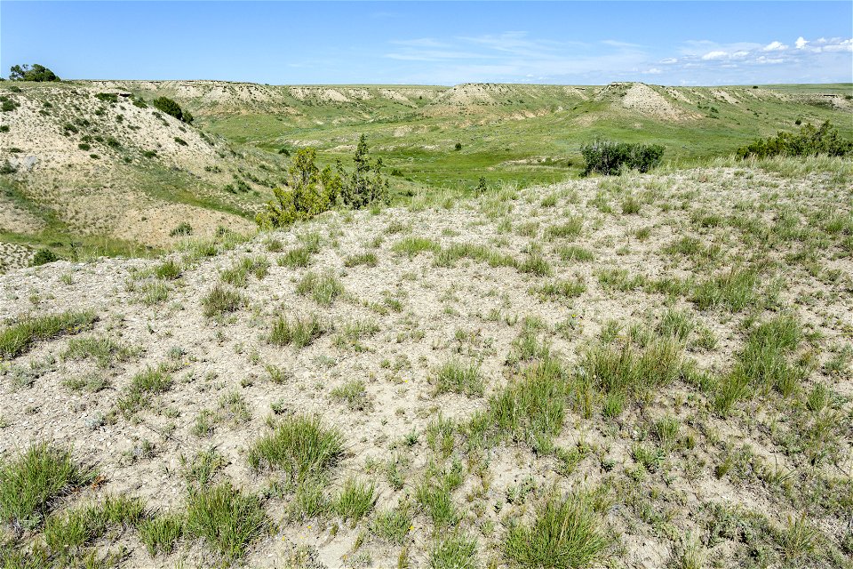 Near Moss Agate Creek