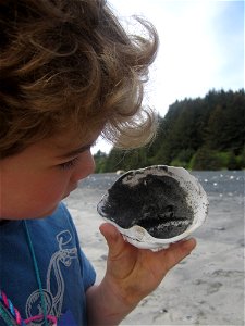 2015_Kodiak_SC (51)