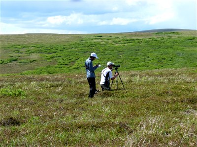 Taking activity budget photo