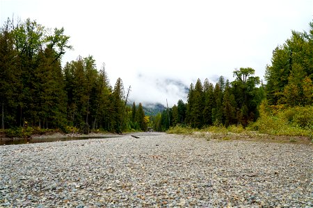 Avalanche Picnic Area Shoreline