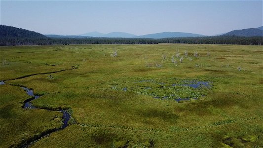 0082-Drone Aerial View of Big Marsh on the Deschutes National Forest in July 2022