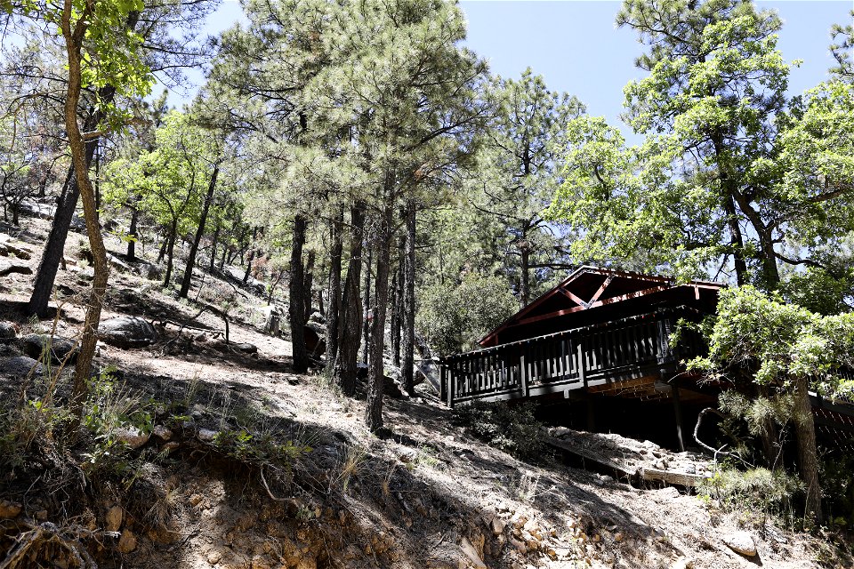 MAY 16: A Pine Lake home with poor defensible space