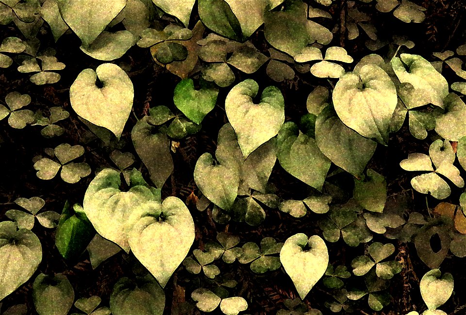 LEAF PATTERNS- 1 PHOTOSHOP WATERCOLOR (1)