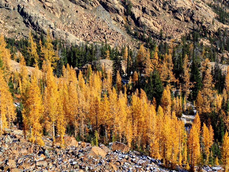 Ingalls Pass at North Cascades in WA