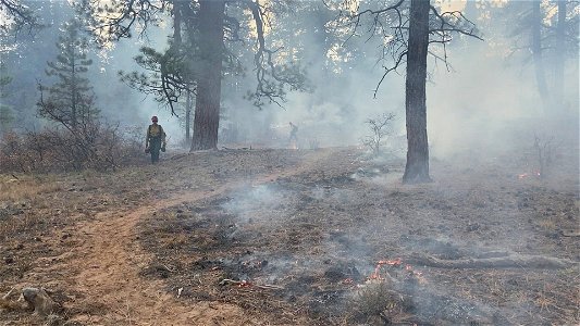 Ray Mesa Prescribed Burn Fall 2021