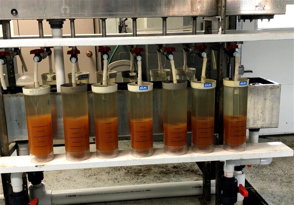 Hatchery Egg Jars
