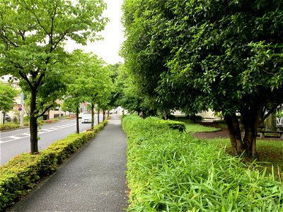 Park in Nishitokyo-shi photo