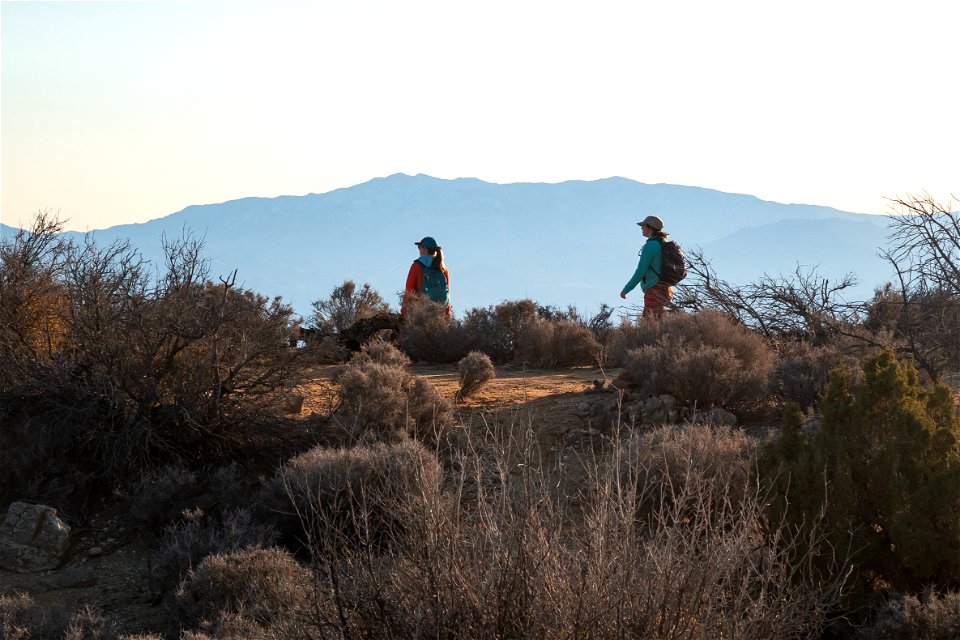 Hiking the Covington Crest trail