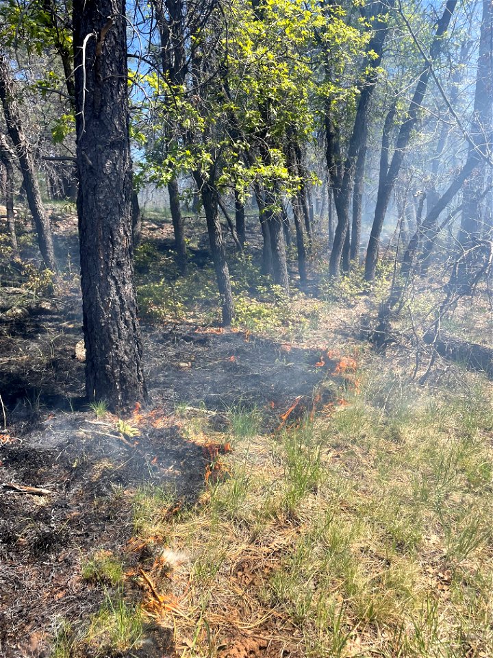 Volunteer Fire 1
