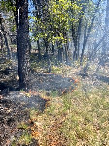 Volunteer Fire 1