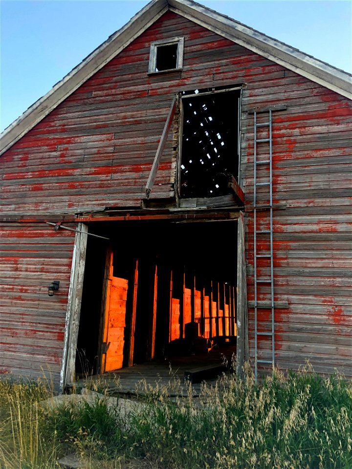 2022/365/245 Back Door Lit