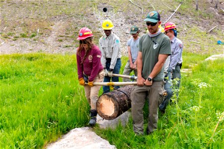 YCC Alpha Crew 2021: helping trail crew build a foot bridge (2)