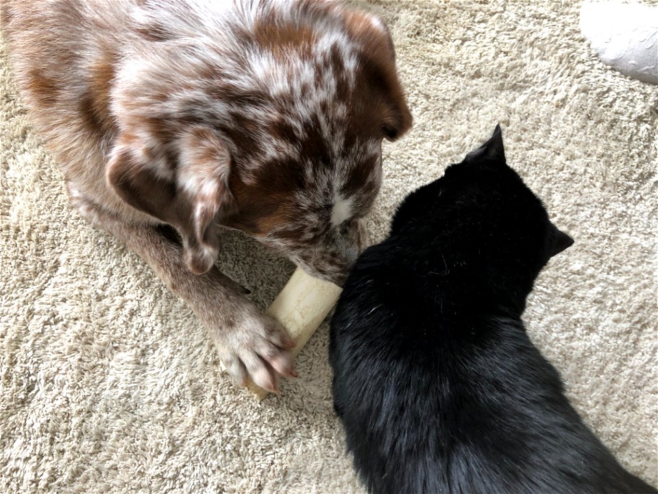 Psss, We Gotta Talk!