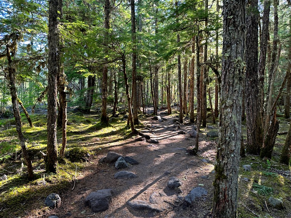 Mt. Hood Wilderness in OR