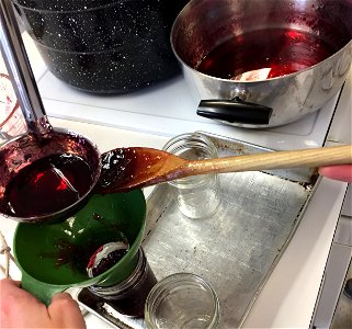 Adding hot jelly to jar photo