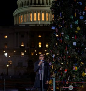 CapitolXmasTreeLighting-WashingtonDC-033