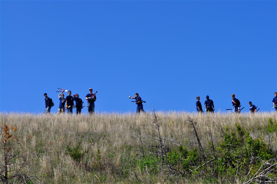 Invasive Patrol