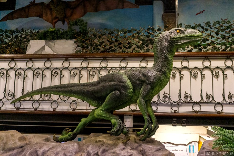 The Dinosaurs  of Maidstone Museum