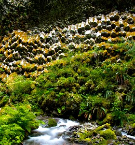 Gifford Pinchot National Forest Blue Lake Creek Trail, Great American Outdoors Act photo