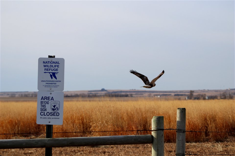 Owen's Bay Lake Andes National Wildlife Refuge photo