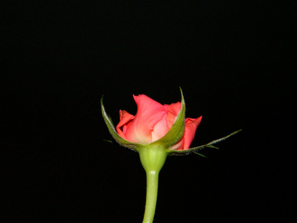 trandfmic_timelps2011_1109_074300