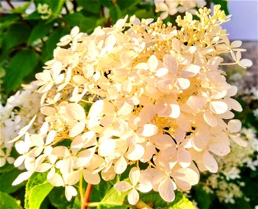 IMG_20200809_194418~2