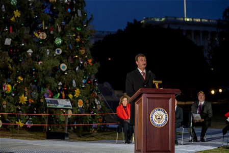 CapitolXmasTreeLighting-WashingtonDC-022 photo