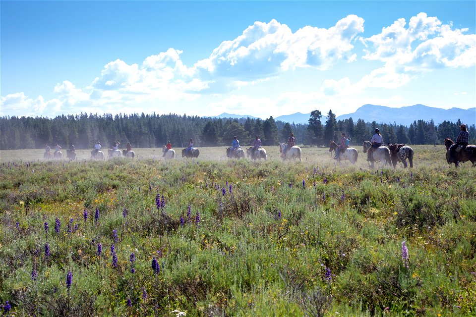 Nez Perce Appaloosa Horse Club Ride and Parade: Pelican Valley Trail