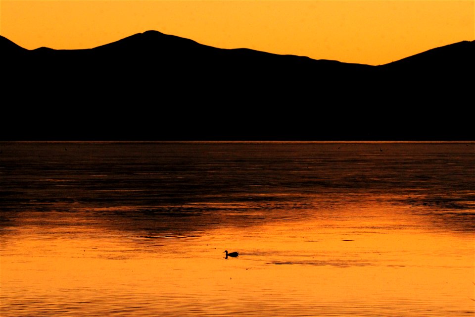 Sunset at Bear River Migratory Bird Refuge photo