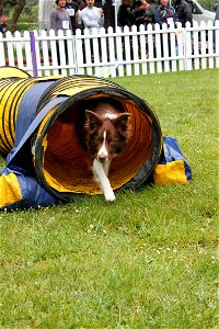 IMG_1578