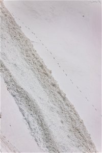 Plowing Going-to-the-Sun Road in 2023 photo