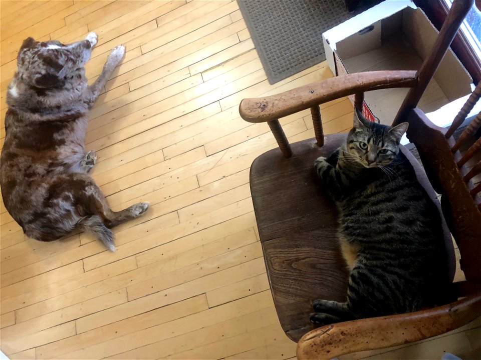 Symmetrical Nappers