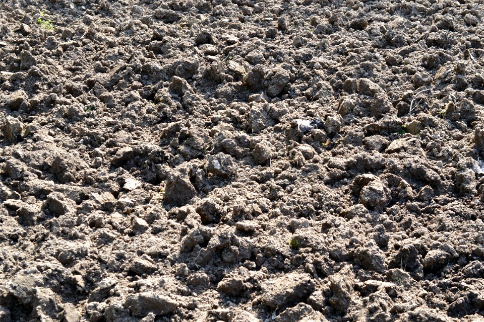 Spring ,April 2023