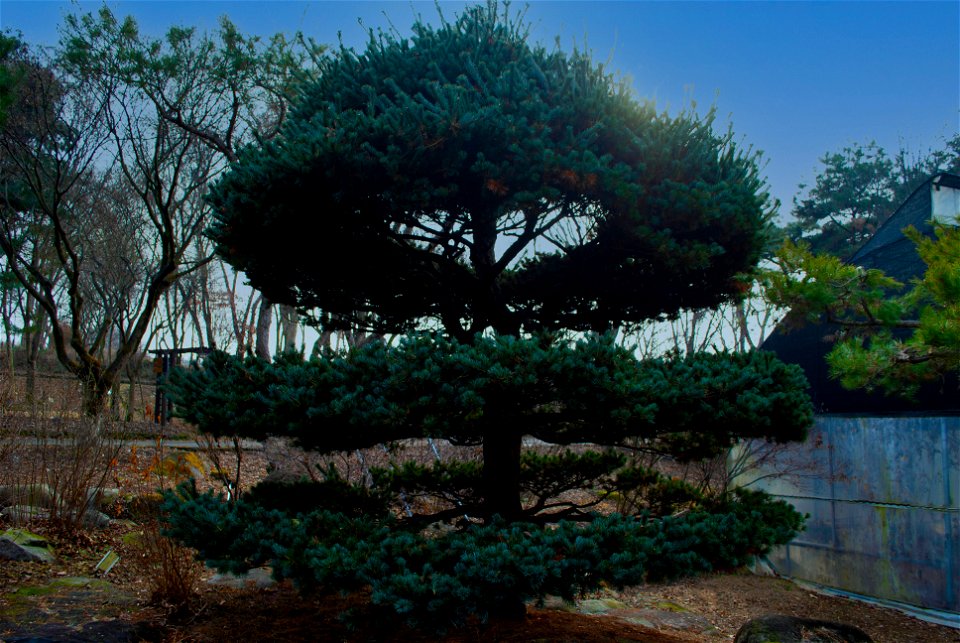 Hantaek Botanical Garden