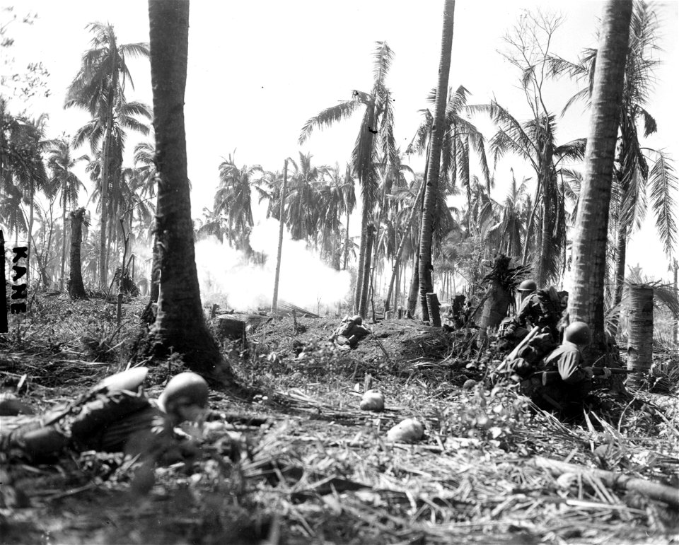 SC 195584-S - Members of E Troop, 2nd Squadron, 7th Cav. Regt., engaging the Japs at close range, 100 yards inland from White Beach, Leyte Island, P.I.