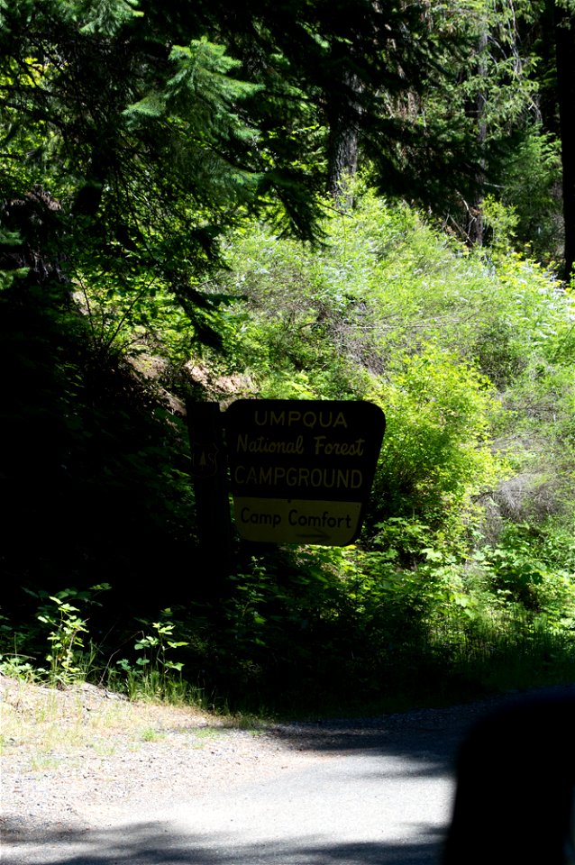 untitled-1239jpg_49364918362_o