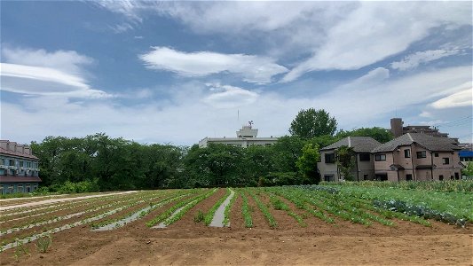 Koyama in Higashikurume-shi