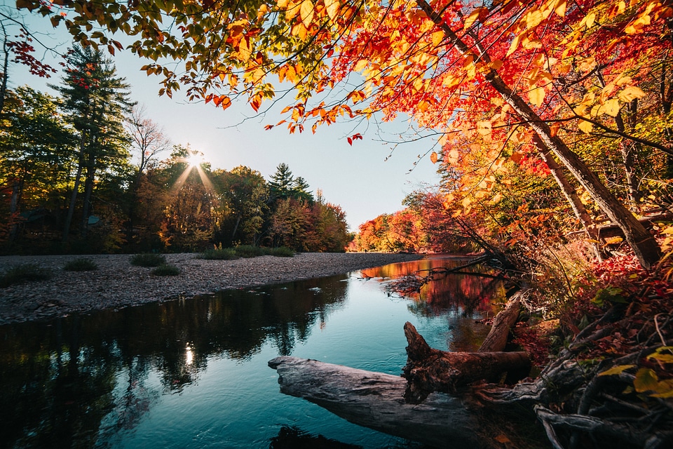 Calm River in the Autumn photo
