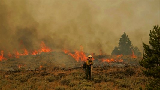 Personnel Category - USFWS 2022 Photo/Video Contest