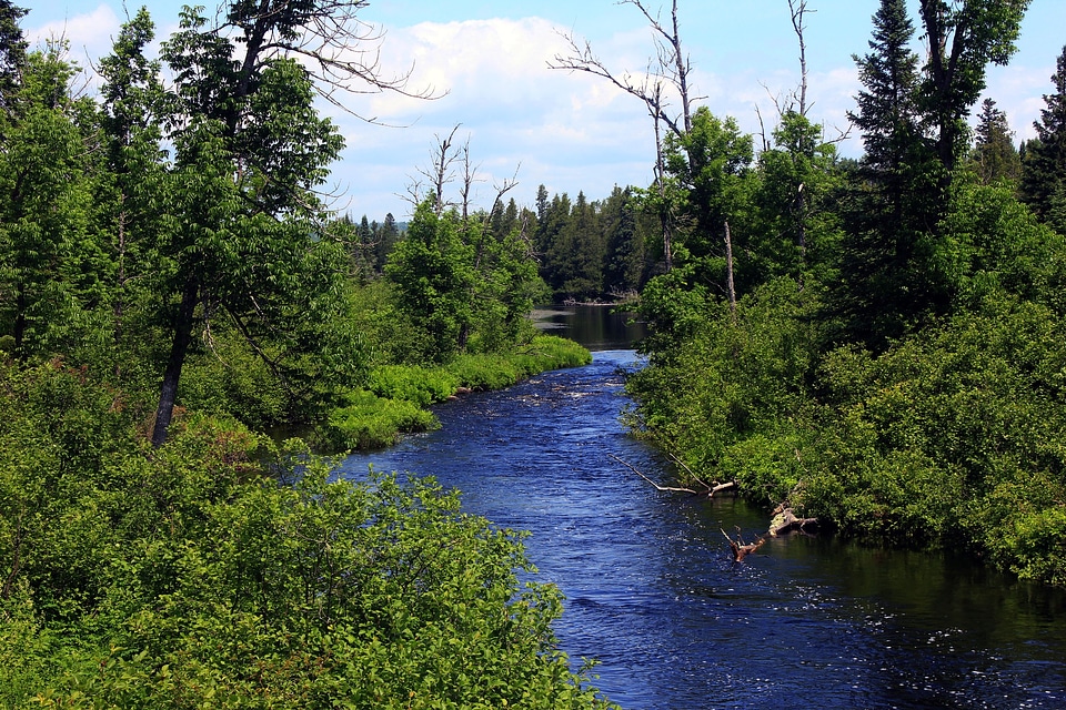 Forest baptism river landscape