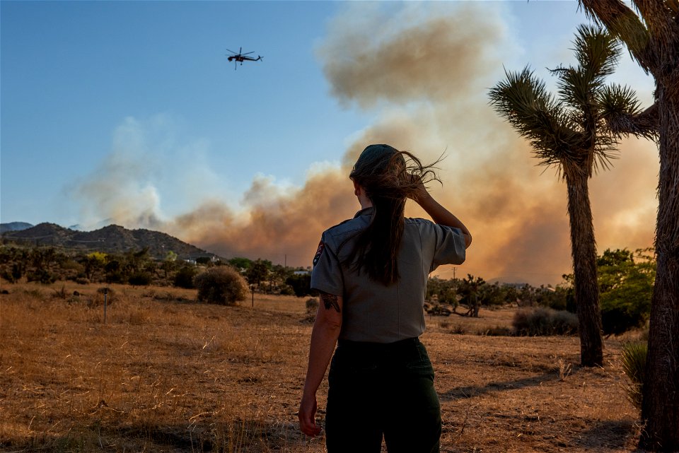 Park Ranger and Smoke from the Elk Fire
