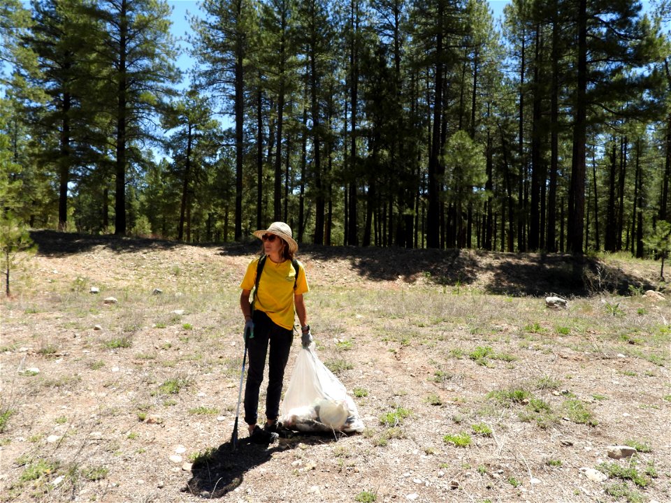 Pickin' Up in the Pines May 2022