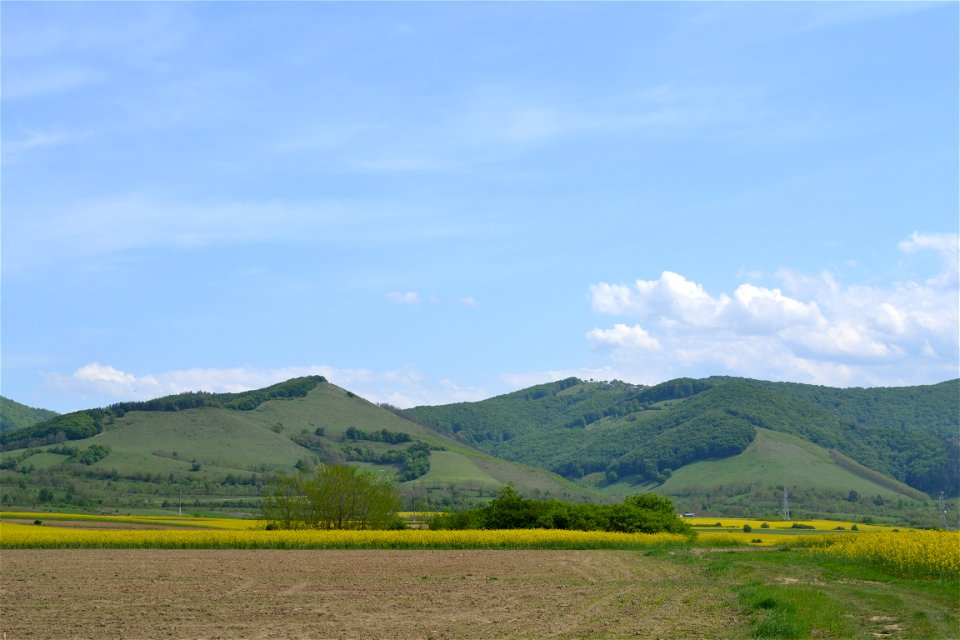 Sunny day photo