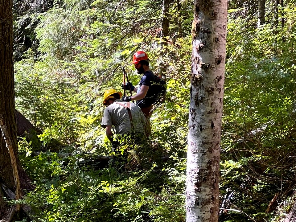 The trail brushing crew with the Mountaineers improving trail with volunteers at Church Creek Trail on the Olympic National Forest