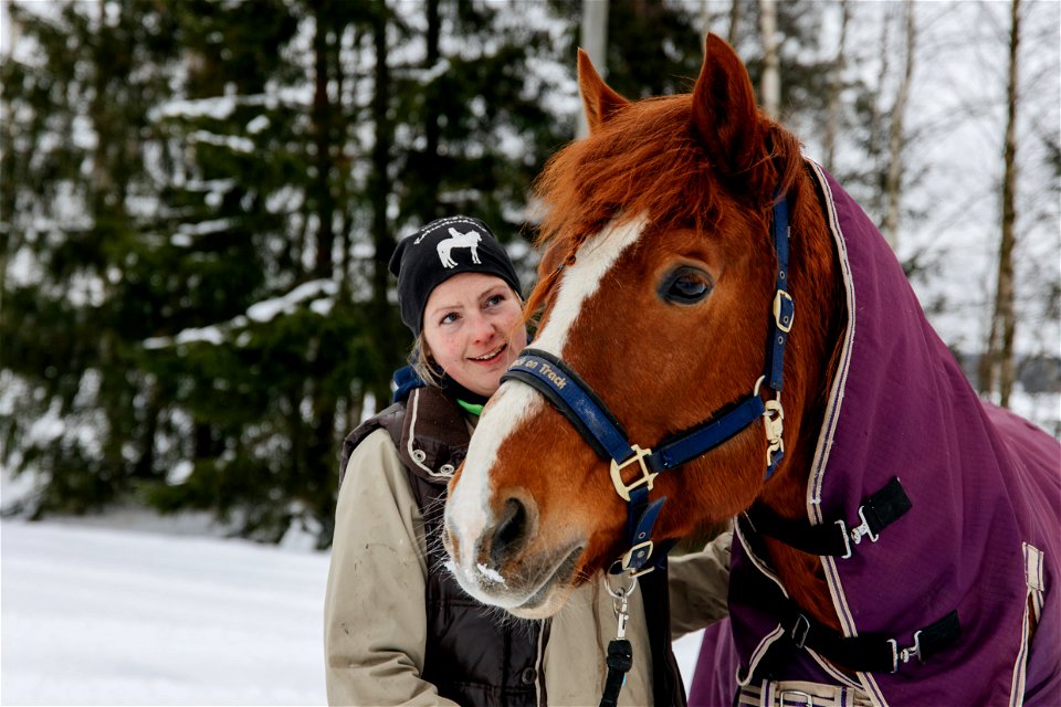 Turengin ratsastuskoulu, Janakkala