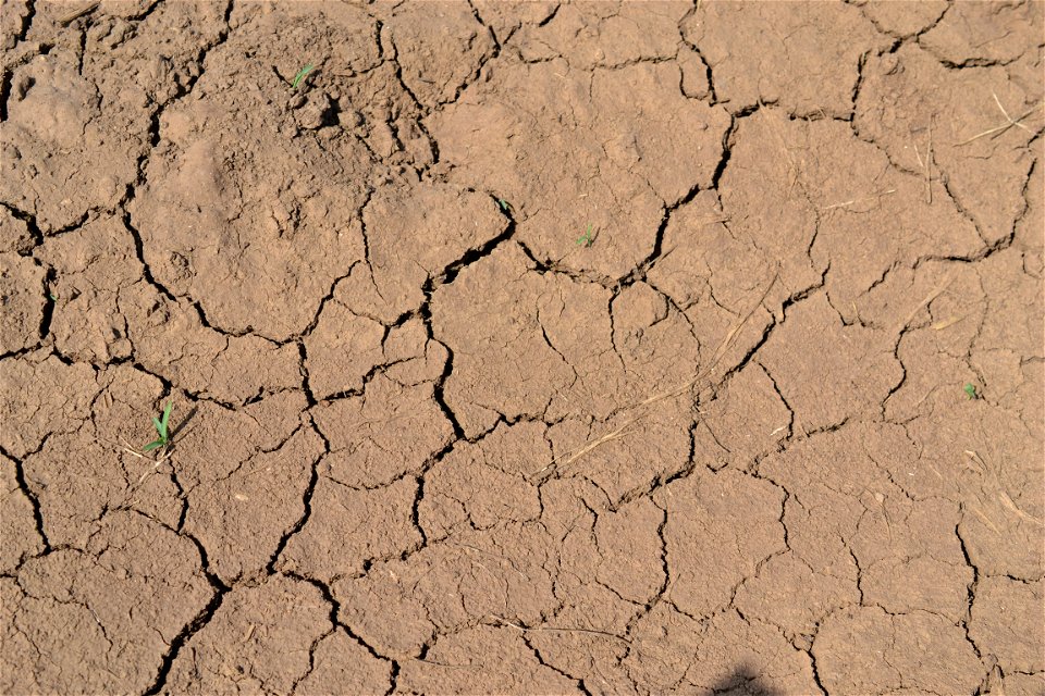 Free textures with cracks