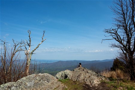 Show Your Love for Shenandoah
