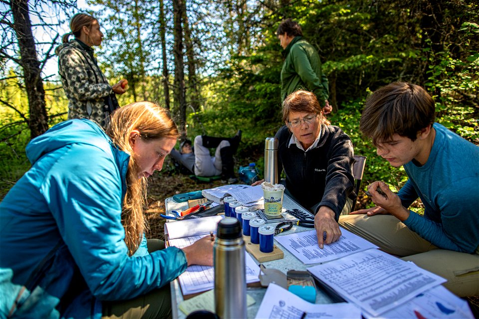 Scientists record data about birds