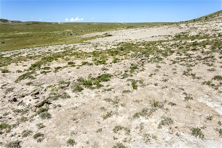 Cota del Gallo Arroyo